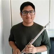 Clases de flauta travesera o lenguaje musical